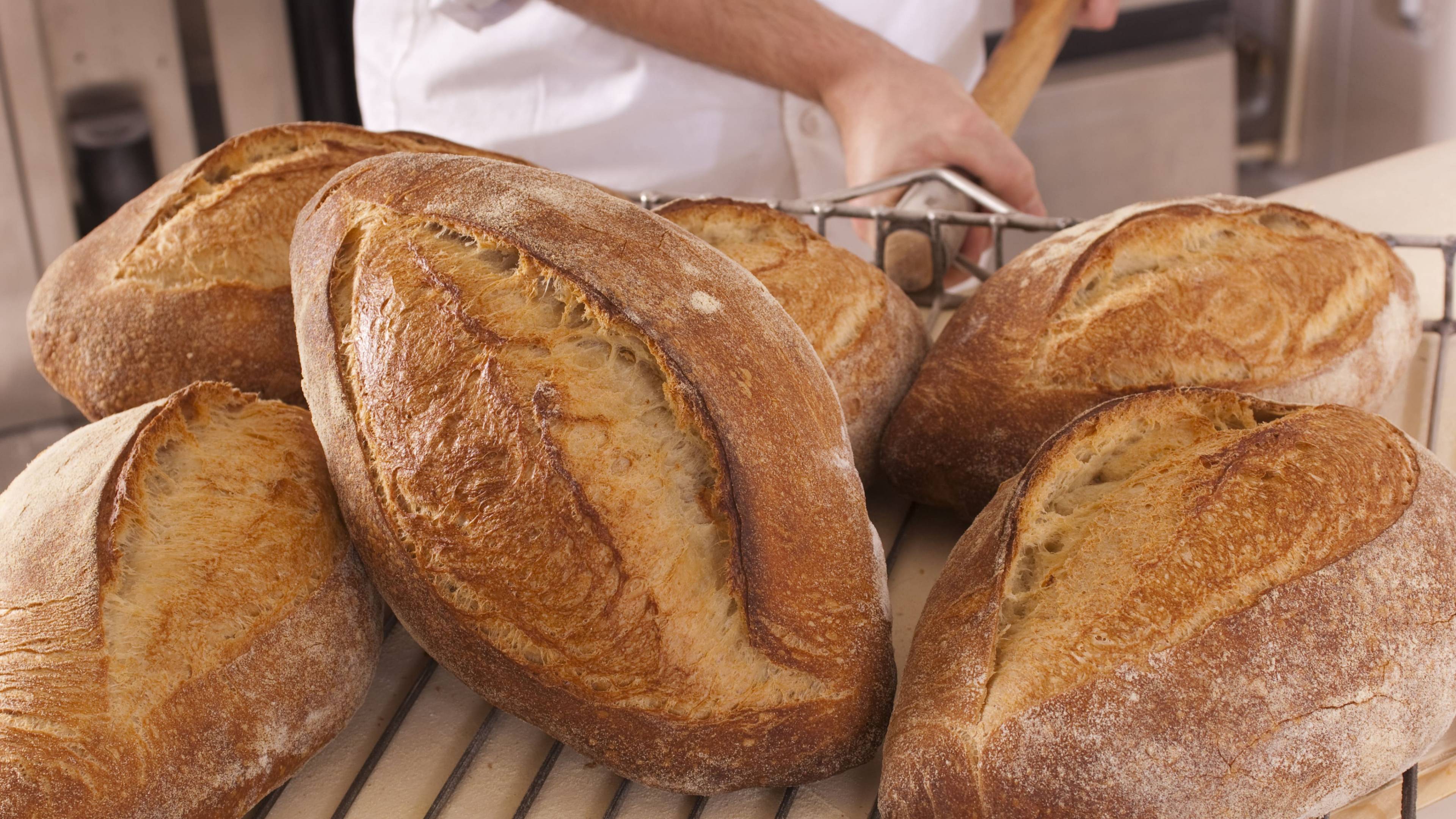 loafs